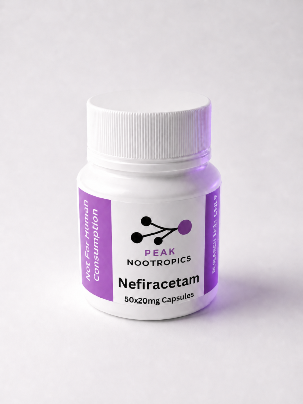 Nefiracetam Capsules